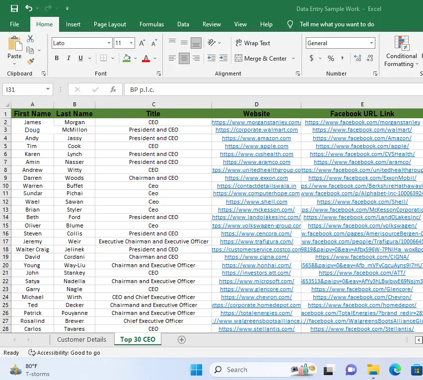 إدخال البيانات وتنظيمها بدقة واحترافية
