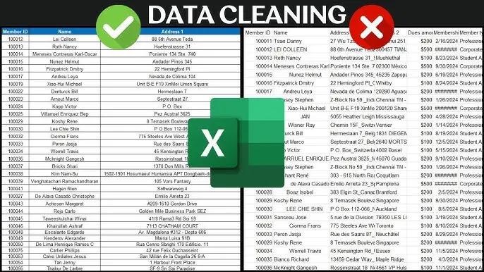 إدخال البيانات وتنظيفها وتنظيمها باحترافية باستخدام Excel