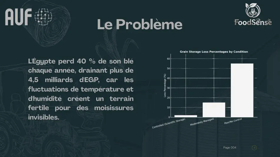 تصميم عرض تقديمي متكامل يهدف إلى عرض فكرة مشروع بطريقة بصرية