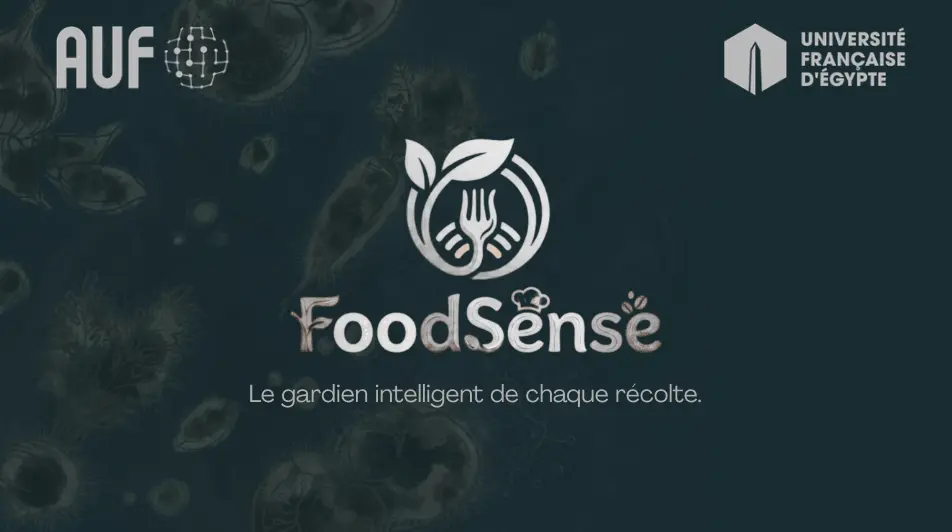 تصميم عرض تقديمي متكامل يهدف إلى عرض فكرة مشروع بطريقة بصرية