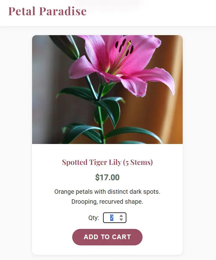 تصميم وتطوير Landing Page احترافية متجاوبة لزيادة المبيعات