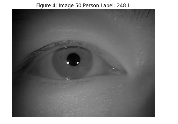 تصميم وتطوير حلول Computer Vision باستخدام الذكاء الاصطناعي (YOLO – OpenCV – Deep Learning)