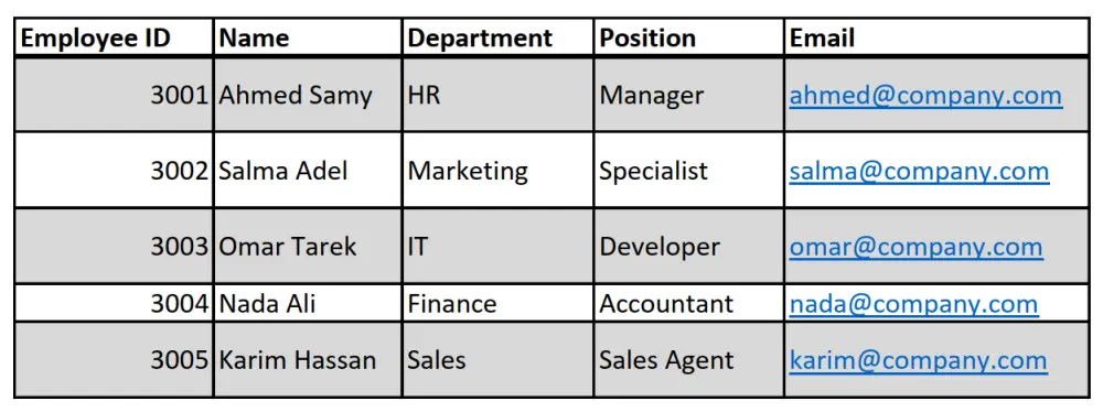 إدخال وتنظيم بيانات المنتجات في ملف Excel