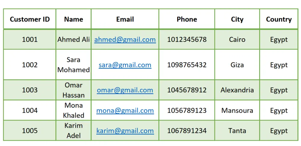 إدخال وتنظيم بيانات المنتجات في ملف Excel
