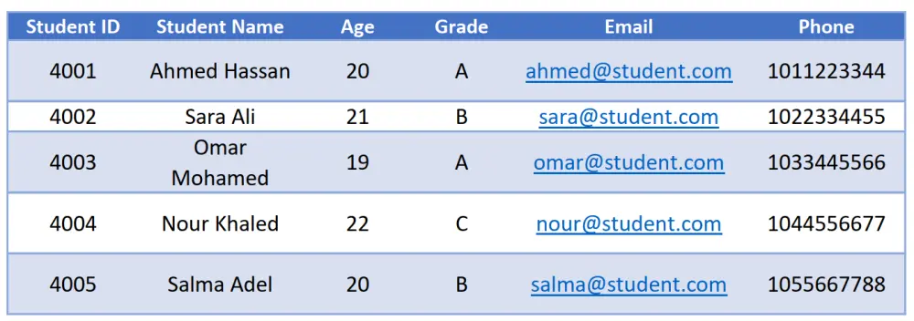 إدخال وتنظيم بيانات المنتجات في ملف Excel