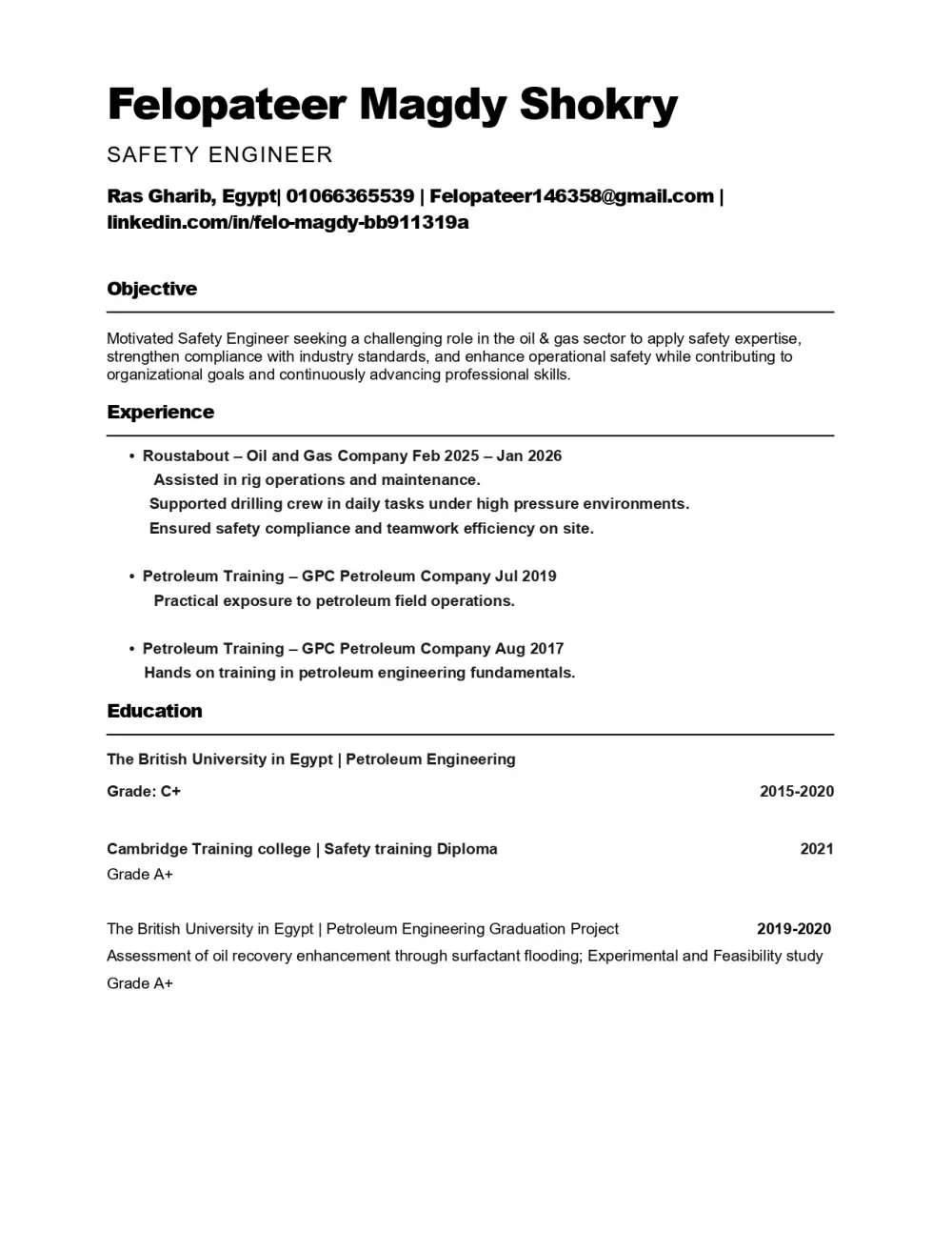عمل ATS CV احترافي للشركات