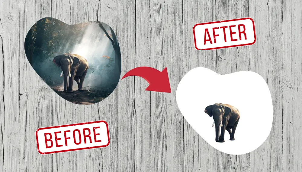 إزالة خلفية صورك باحترافية حقيقية ودقة في أدق التفاصيل