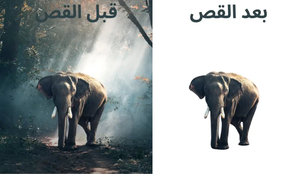 إزالة خلفية صورك باحترافية حقيقية ودقة في أدق التفاصيل