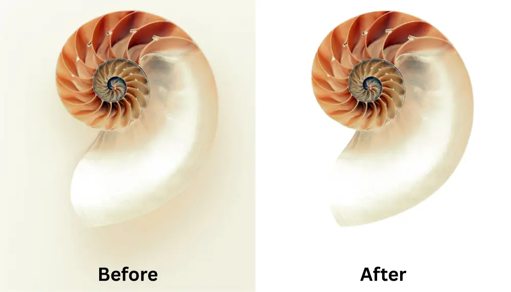 إزالة خلفية صورك باحترافية حقيقية ودقة في أدق التفاصيل