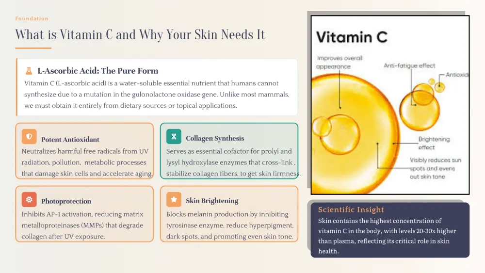 تصميم قوالب احترافية للعروض التقديمية والتسويق الرقمي