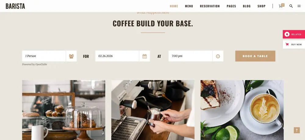 تطوير مواقع الويب