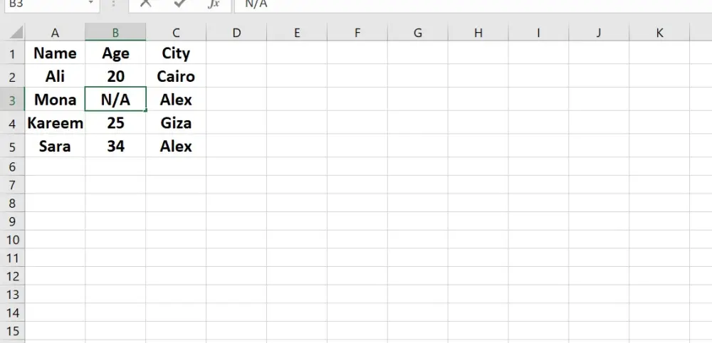 Data Preprocessing & Cleaning (Excel / CSV)