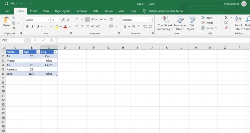 Data Preprocessing & Cleaning (Excel / CSV)