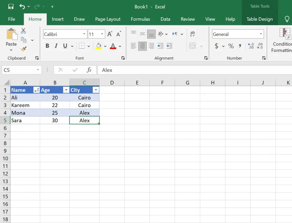 Data Preprocessing & Cleaning (Excel / CSV)