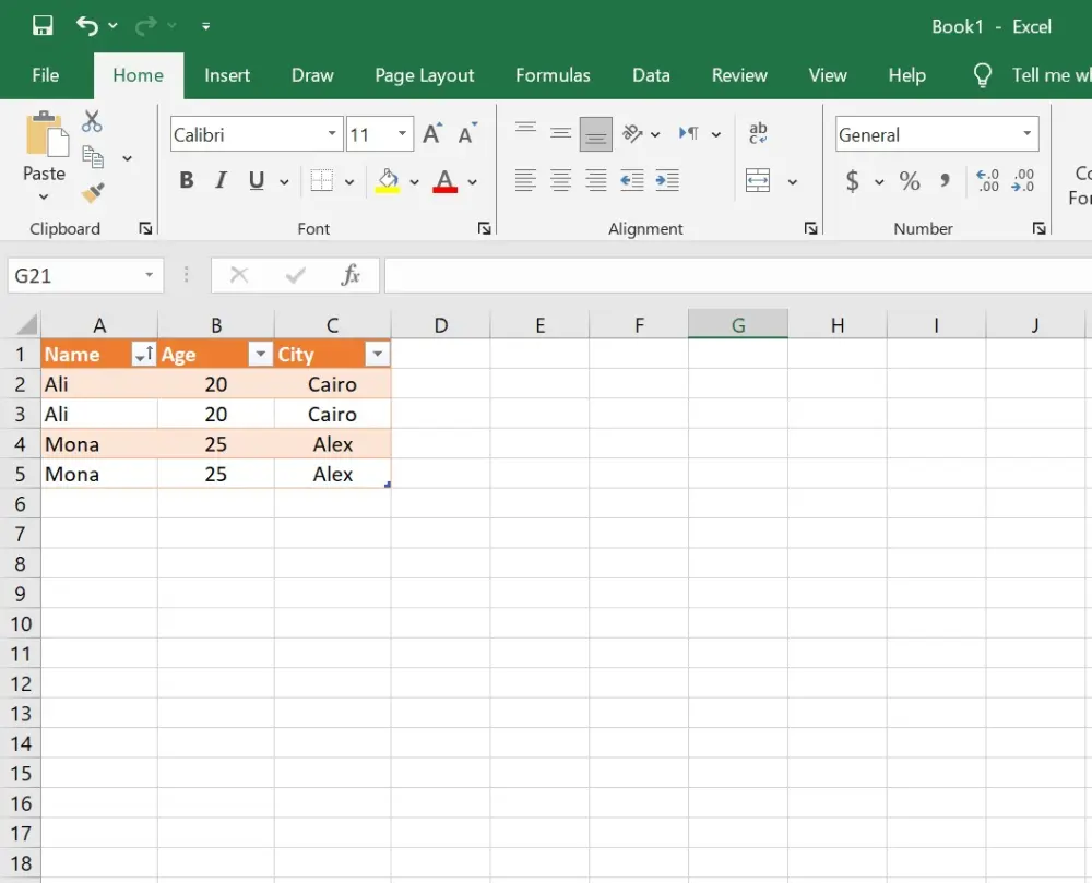 Data Preprocessing & Cleaning (Excel / CSV)
