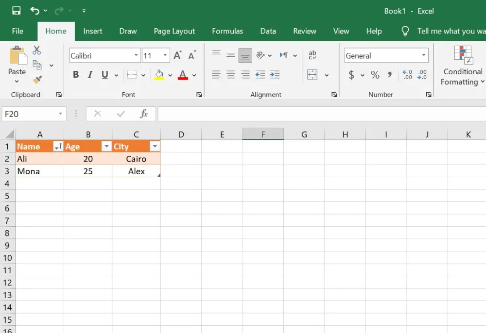 Data Preprocessing & Cleaning (Excel / CSV)