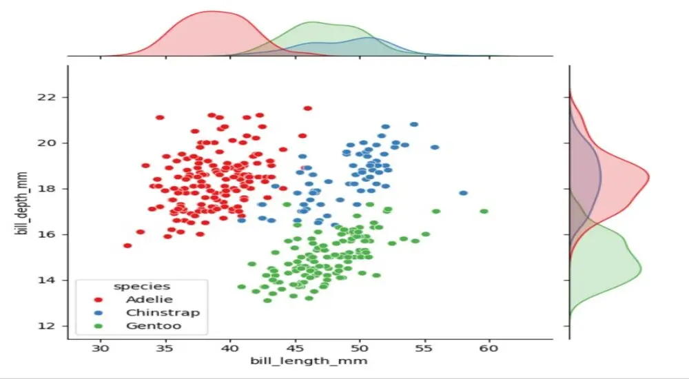 تحليل بيانات احترافي + رسوم بيانية + Insights باستخدام Python