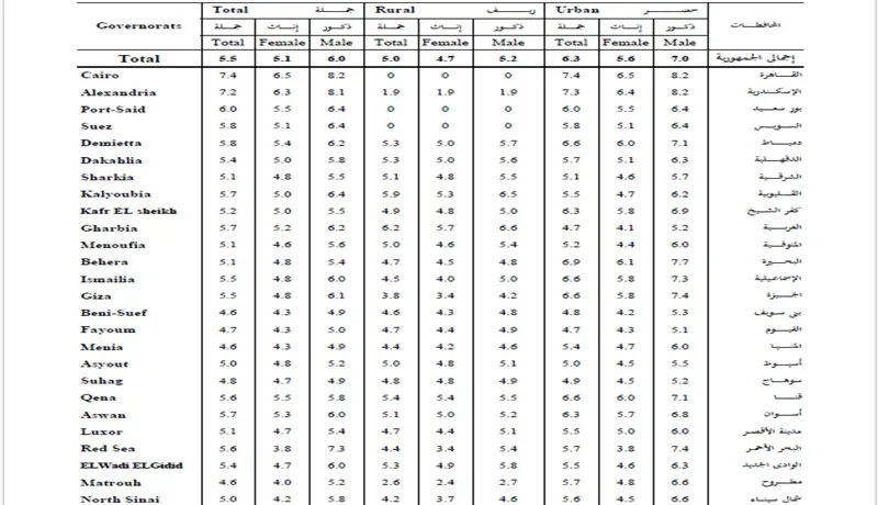 إدخال البيانات باستخدام إكسيل و تنسيقها | Excel Data Entry
