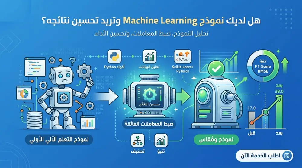 Machine Learning Model Optimization