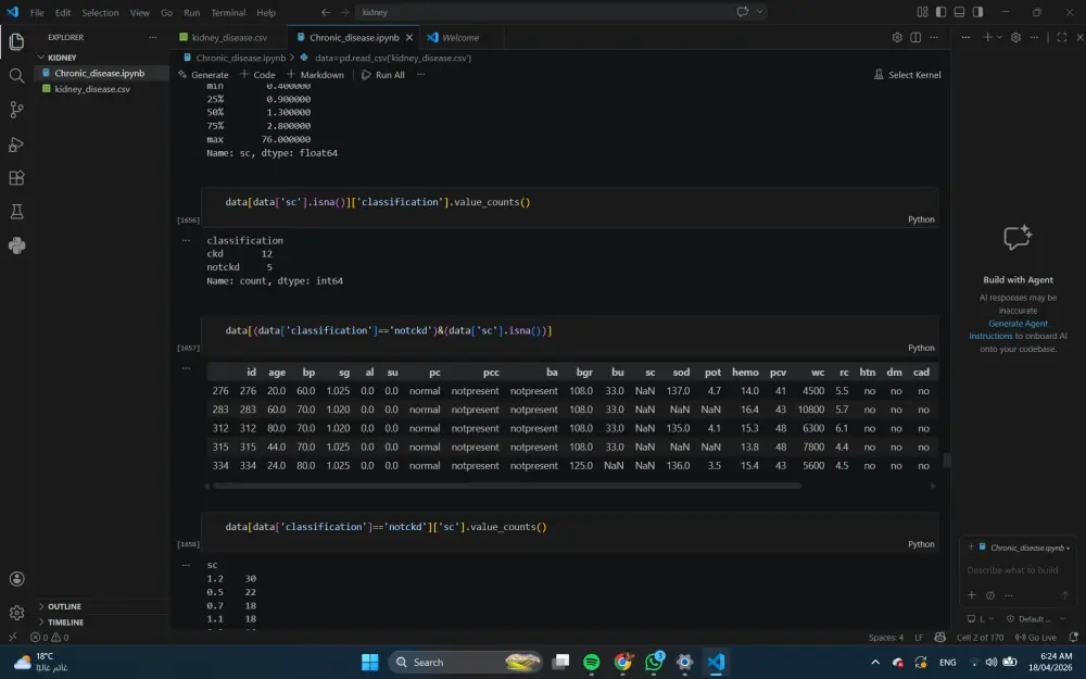 تنظيف، تنسيق، ومعالجة البيانات الضخمة باستخدام Excel و Python باحترافية.
