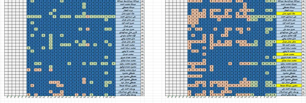 إدخال وتنظيف بيانات Excel باحتراف + ملف منظم وجاهز للتحليل