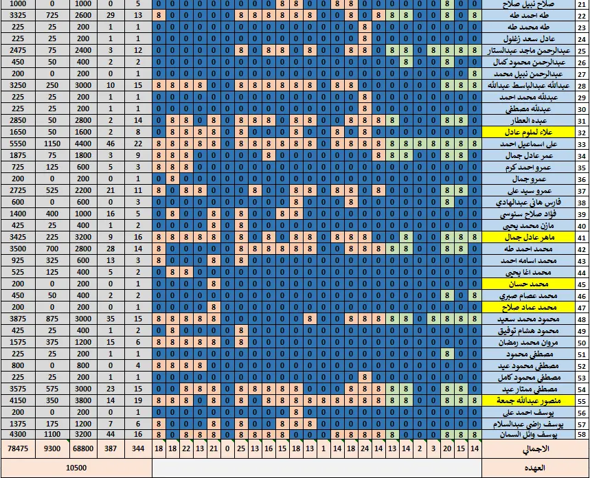 إدخال وتنظيف بيانات Excel باحتراف + ملف منظم وجاهز للتحليل