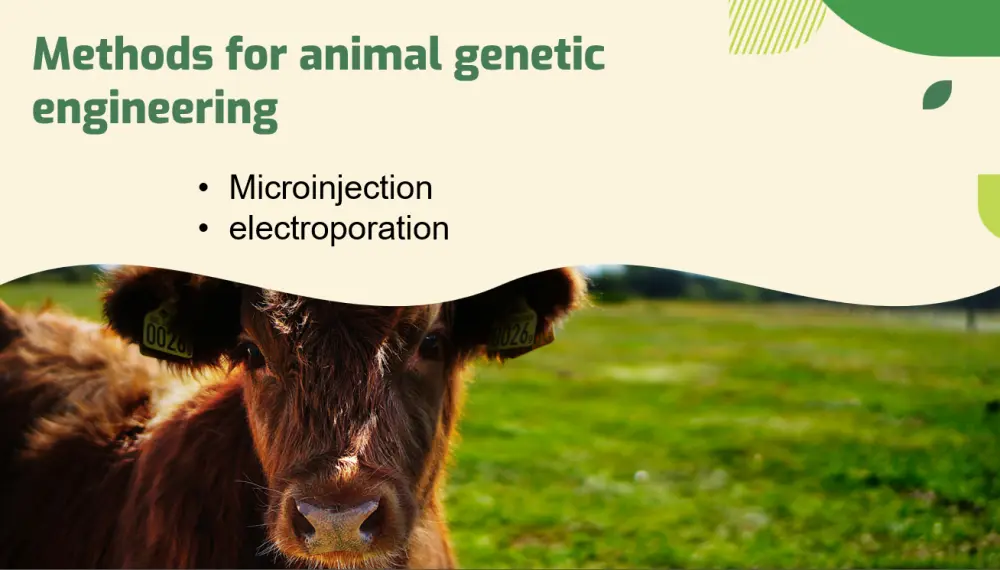 تصميم عروض PowerPoint احترافية ومتميزة لأي مجال.