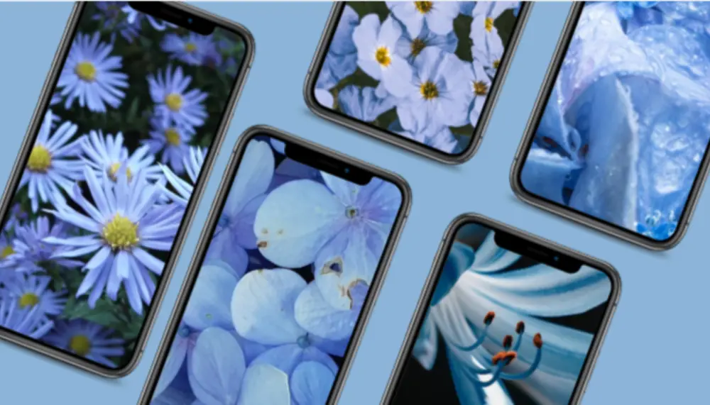 تصميم واجهات UI احترافية وعصرية لتطبيقات الموبايل باستخدام Figma