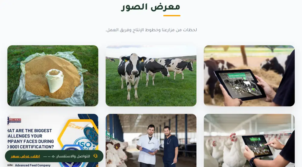 تصميم Landing Page او تصميم مواقع احترافية