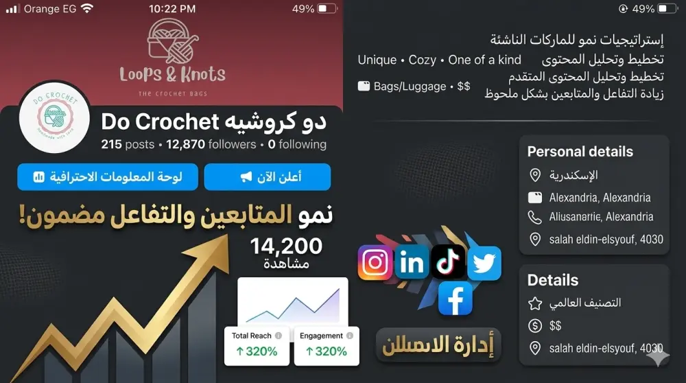 إدارة حسابات السوشيال ميديا باحتراف لزيادة التفاعل والمبيعات