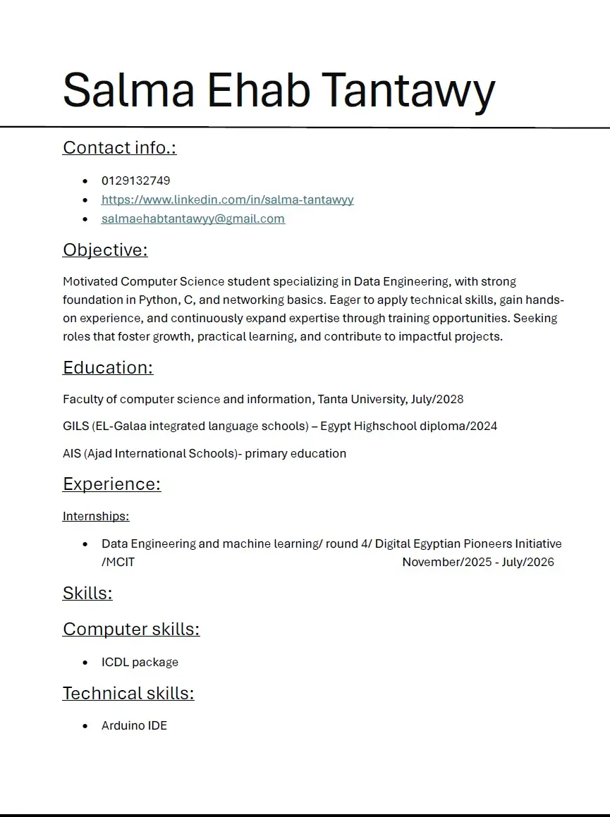 professional CV and portfoilio