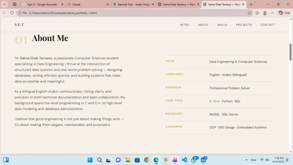 professional CV and portfoilio