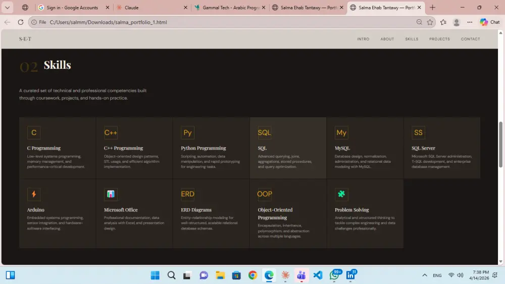 professional CV and portfoilio