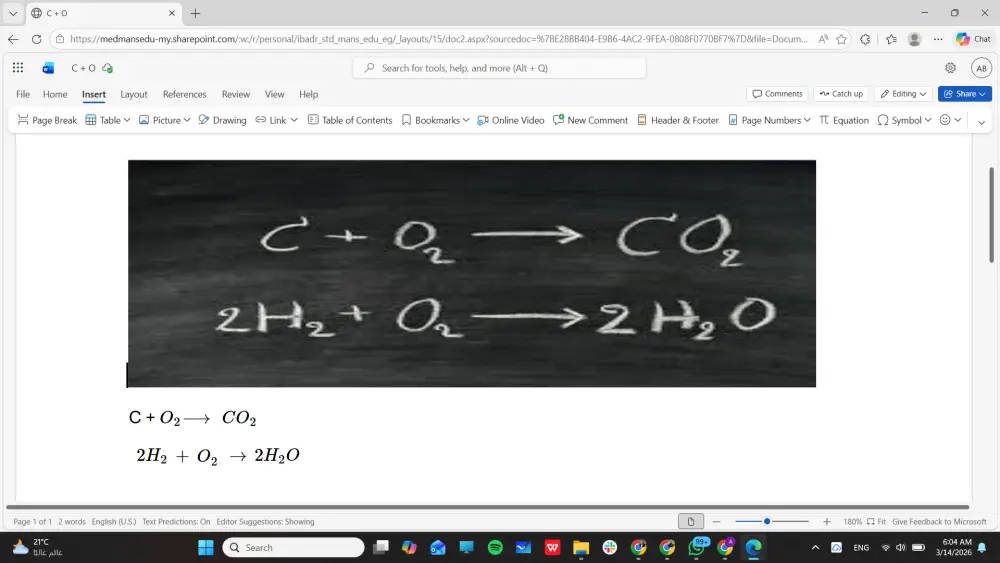 تفريغ ملفات PDF وصور إلى Word بدقة متناهية والعكس
