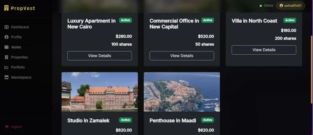 سأبني لك تطبيق ويب احترافي بـ ASP.NET Core MVC مع قاعدة بيانات