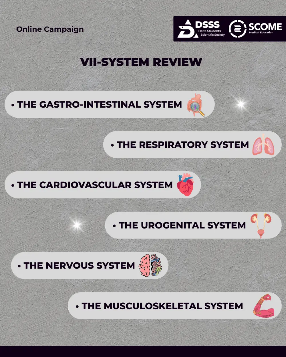 تصميم 3 منشورات تعليمي احترافي لإنستجرام وفيسبوك مع كتابة المحتوى فى النشور الواحد من 20 -150 كلمه