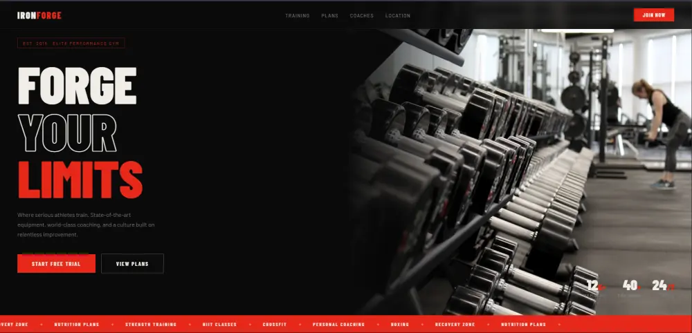 صفحة هبوط (Landing Page) احترافية