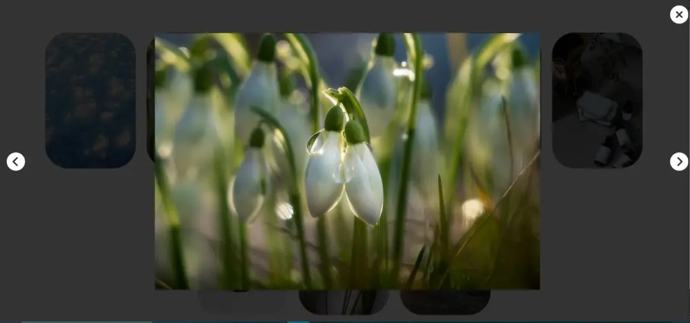 إضافة Image Gallery و Slider تفاعلي لموقعك باستخدام jQuery