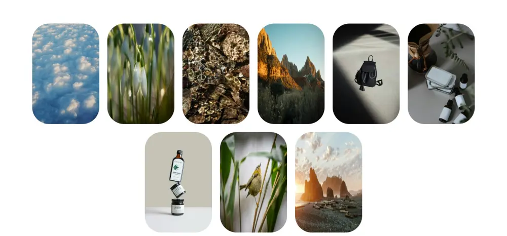 إضافة Image Gallery و Slider تفاعلي لموقعك باستخدام jQuery