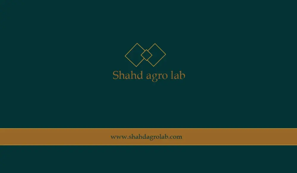 بطاقة أعمال احترافيه(business card)