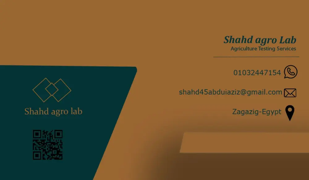 بطاقة أعمال احترافيه(business card)
