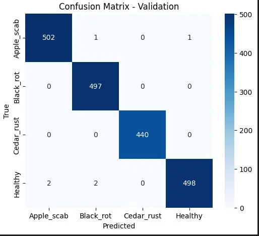 بناء نموذج CNN لتصنيف الصور من تجهيز البيانات حتى النشر