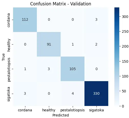 بناء نموذج CNN لتصنيف الصور من تجهيز البيانات حتى النشر
