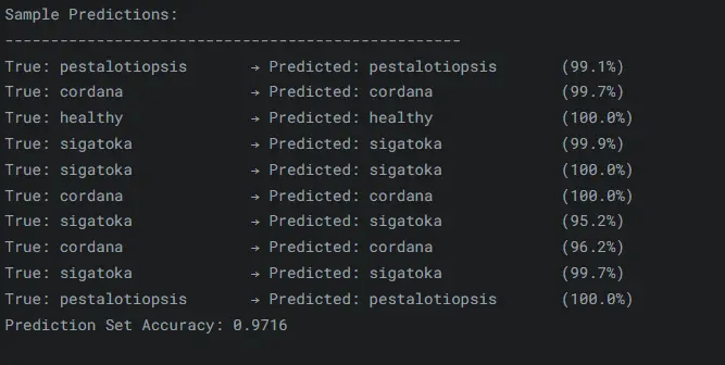بناء نموذج CNN لتصنيف الصور من تجهيز البيانات حتى النشر
