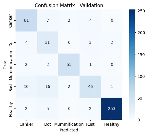 بناء نموذج CNN لتصنيف الصور من تجهيز البيانات حتى النشر