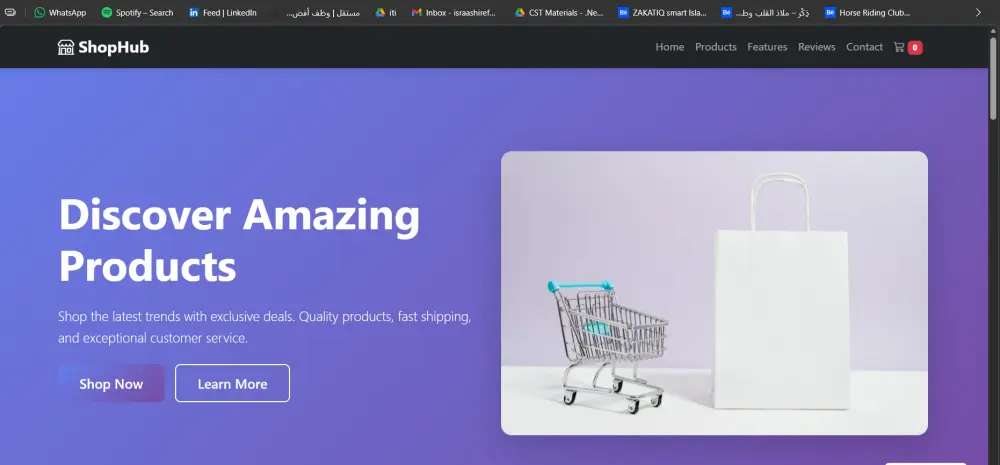 تصميم landing Page احترافية