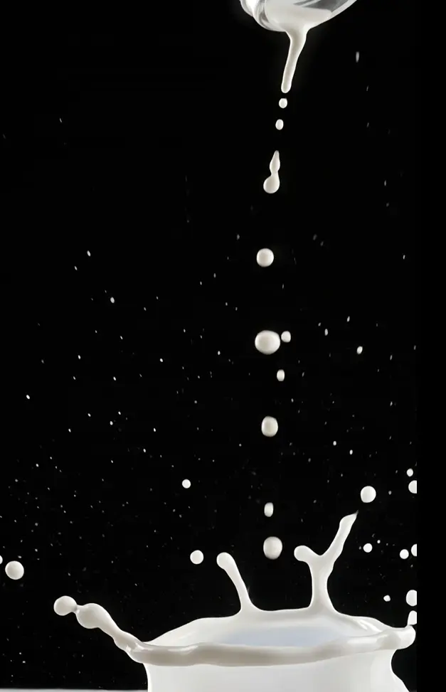 تصميم شاشة الترحيب للتطبيقات splash screen