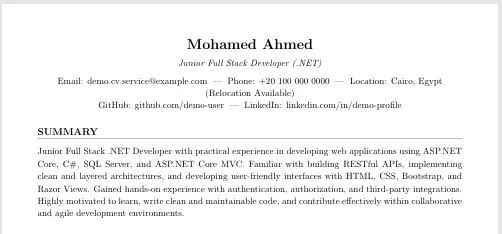 سيره ذاتيه احترافيه CV
