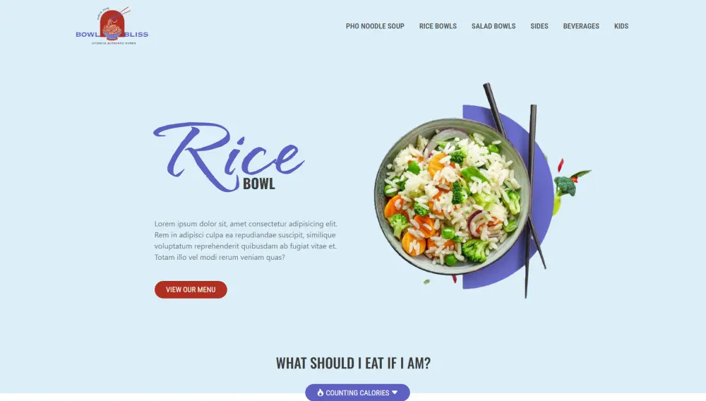 تصميم صفحات هبوط Landing Page تجمع بين الجمال والأداء.