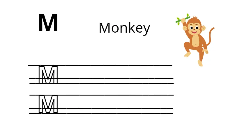 تصميم كتاب لتعلم الأحرف الأنجليزية للأطفال
